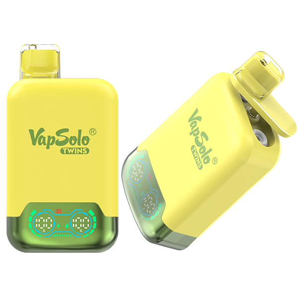 VapSolo Twins 20000 - Watermelon Ice & Pineapple Coconut 5%